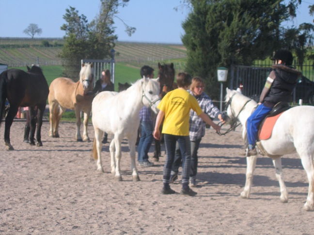 Tier- und Pferdesegnung